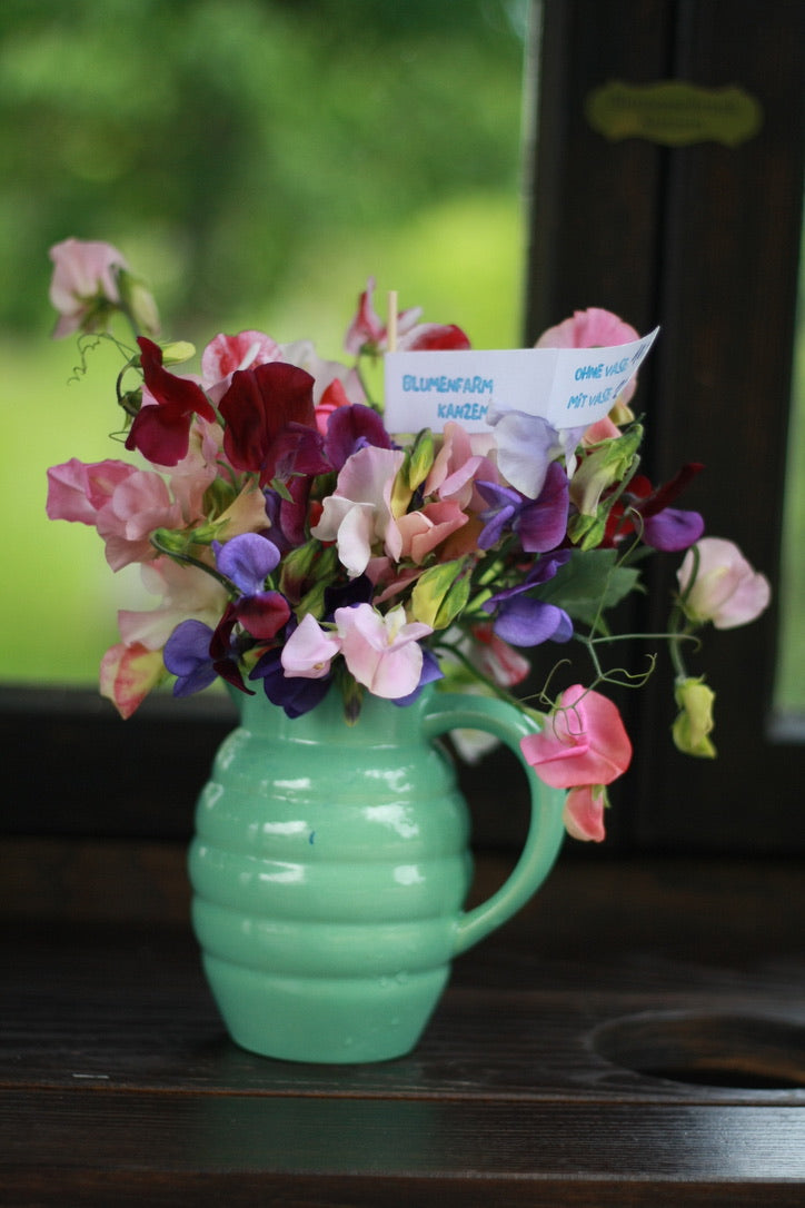 SAART™ Duftwickenmix – Sweet Pea Samen (Lathyrus odoratus), einjährige Sommerblume