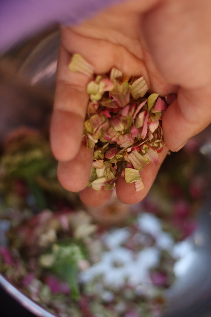 SAART™ Zinnia Mix – Zinnia Seeds (Zinnia elegans), Annual Summer Flower